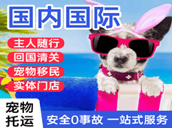 厦门高崎机场快运国际宠物托运 【国